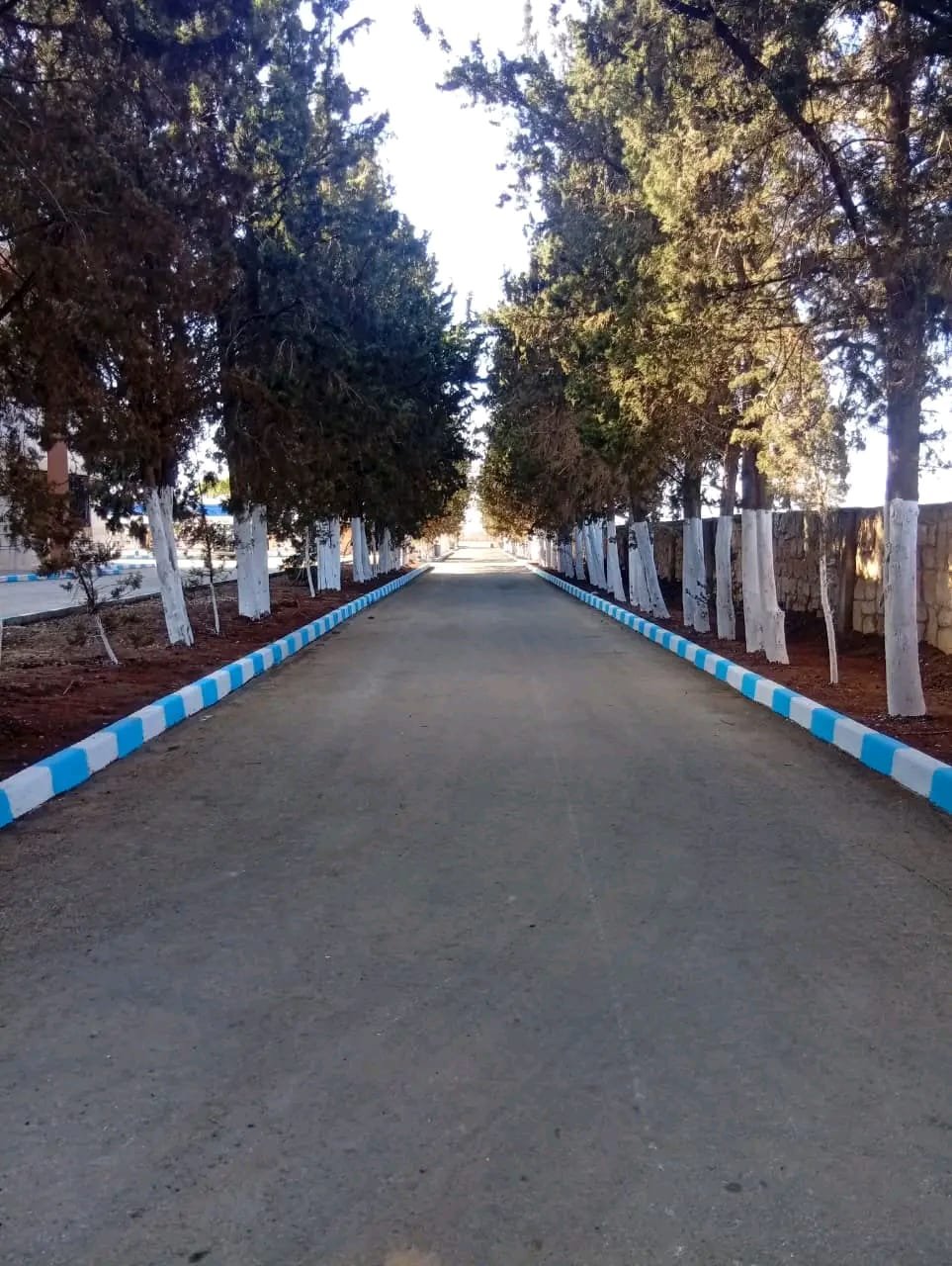 جامعة إيبلا الخاصة