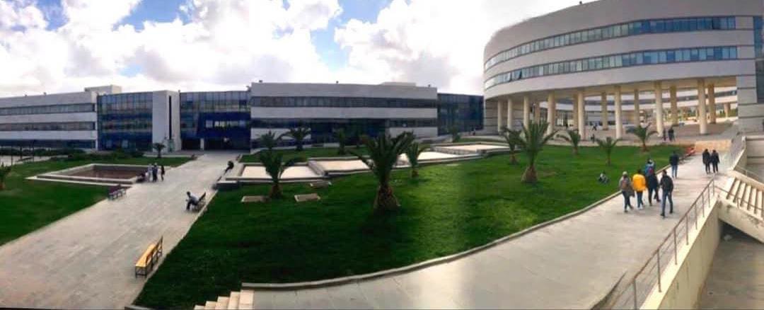 الجامعة العربية الدولية