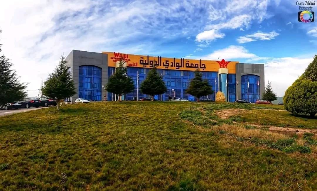 جامعة الوادي الدولية الخاصة