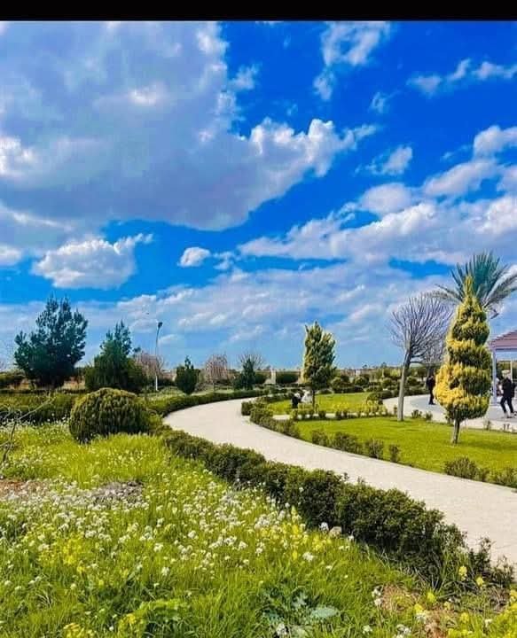 جامعة قاسيون الخاصة