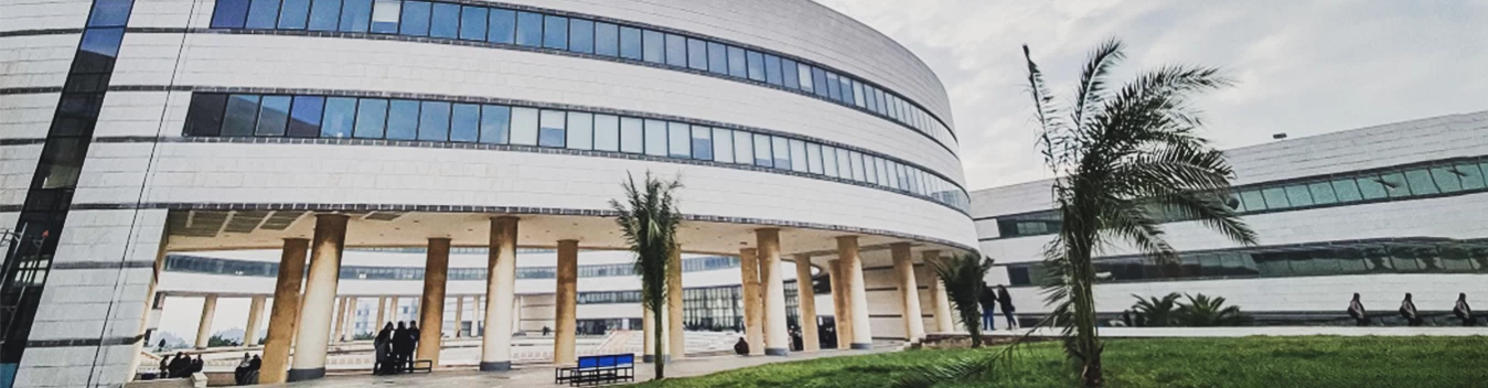 الجامعة العربية الدولية